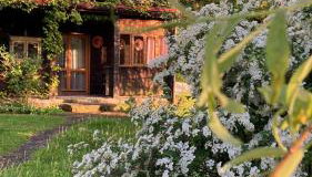 DOMEK LUBENIA - Foto 3, Garden