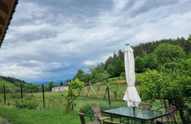 Noclegi u Babci Gieni - Foto 6