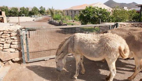 Agroturismo La Gayria - Foto 5, Garden