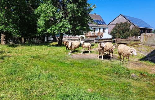 Fewo Gerti - Foto 24