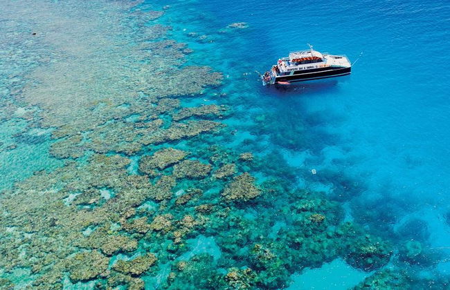 Dreamtime Tauch- und Schnorcheltour - Foto 6