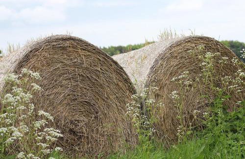 The Stable - Photo 19