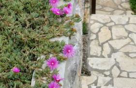 Apartment Gina - Photo 51