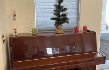 Miracle mineral water pool and spa - Foto 39