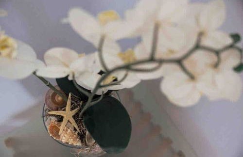 Braunton Beach Boutique - Foto 41