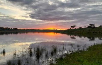 Casa do Roxo - Eco Design Country House - Foto 58