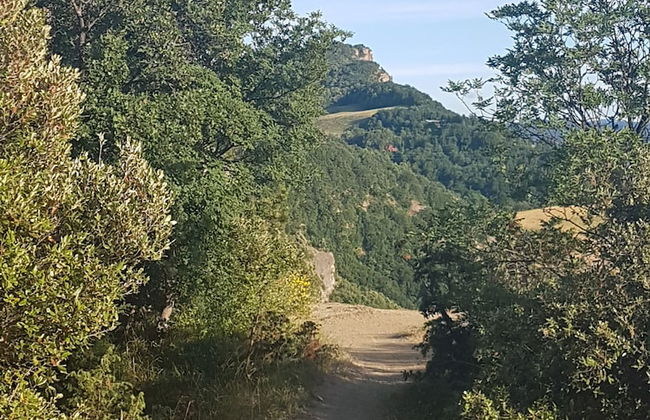 Agriturismo Piccola Raieda - Photo 27