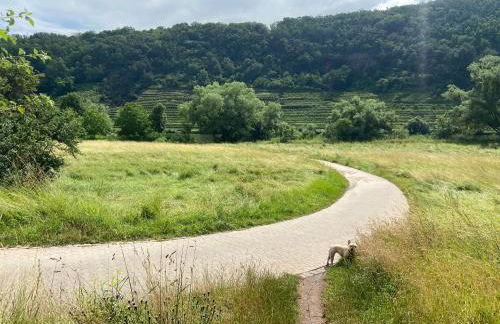 Lieblingsplatz Koblenz - Foto 46