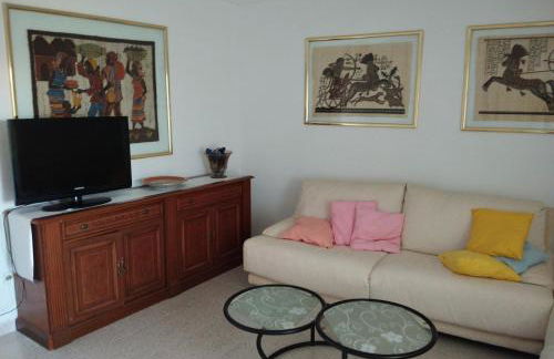 El buen sol de la manga - Foto 34