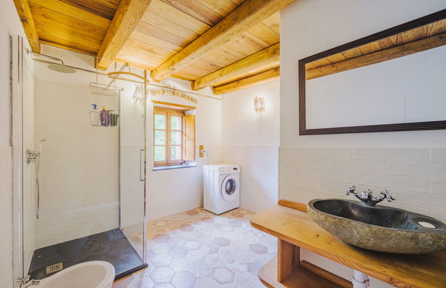 Vermentino - Foto 20