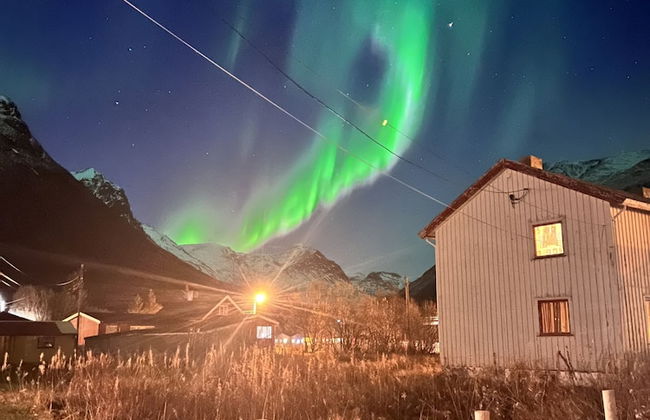 Alpan Apartments - Photo 54