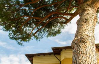 Residence Villa Ombrosa - Foto 23