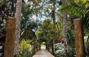 Um chalé e um riacho no meio da natureza - Foto 29