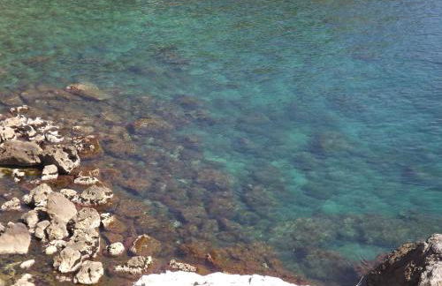 le cytharis - Foto 63