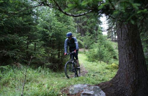 Ferienwohnung Schaumburg- Rosenthal - Foto 16