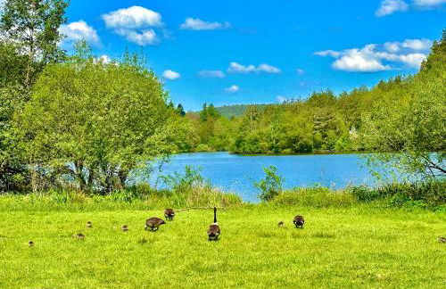 Apartment Joelle mit Sauna, Schwimmteich und Gym - Photo 80