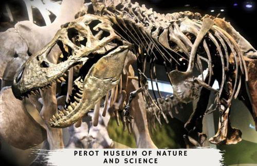 DFW Getaway - 4 Bedrooms Pool Oasis Media Room - Photo 49