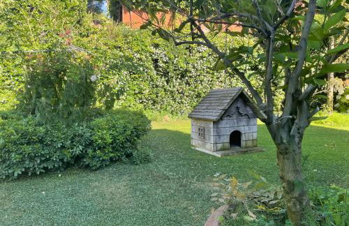 Luxury Villa - Appia Antica - Foto 63