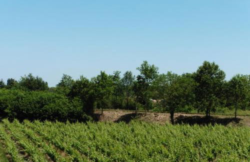 Gîte Chemin des Prés r de Pré Vert - Foto 14