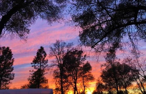 Blissful Acres hilltop cottage - Foto 12