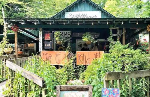 Blueberry Farm Cottage, Hot Tub, Creek, Game Room - Foto 17