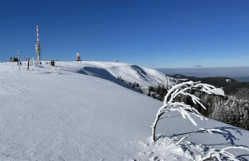 Ferienwohnung Penthouse Feldberg - Photo 42