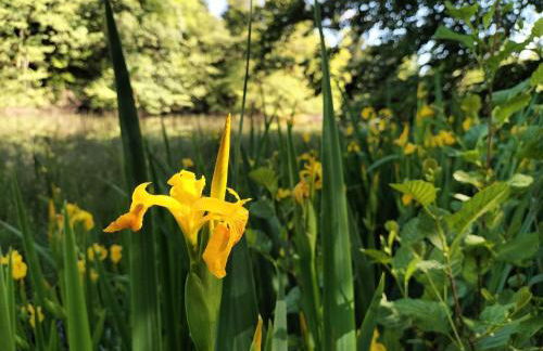 Gite les Baudy - group for 20 people - Foto 43