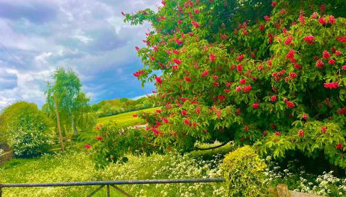 Valley View - Foto 2