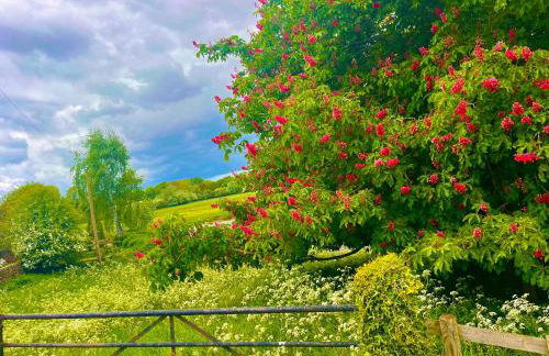 Valley View - Foto 2