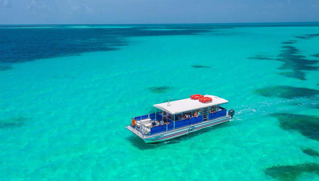 Boat trip with dolphin sightings
