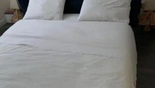 Logement Très Spacieux à Beaugency centre - Photo 2