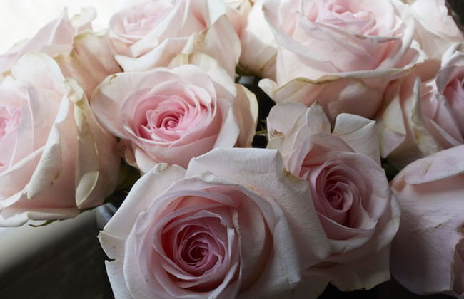 Santorini Sky - The Lodge - Foto 25