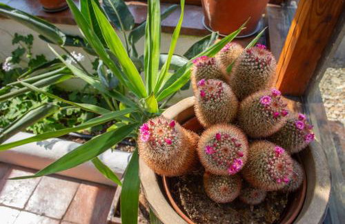 The Barn - Brynberian, Eglwyswrw - Foto 63