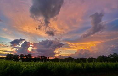 L'Eperonnette, cozy house with swimming pool, surrounded by vineyard, near St Emilion - Foto 46