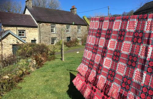 Nantgwynfaen Organic Farm Wales - Photo 31