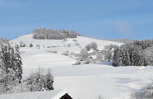 Ferienwohnung Heimatliebe - Foto 25