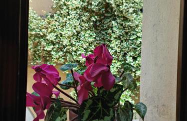 B&B gigi - Foto 4
