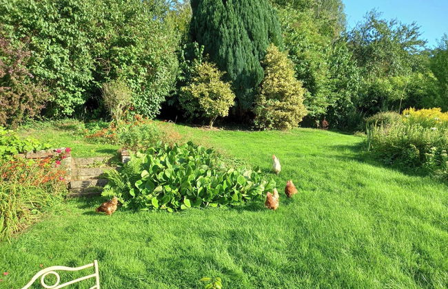 Luxurious Entire Studio in Axminster Suitable for - Foto 17