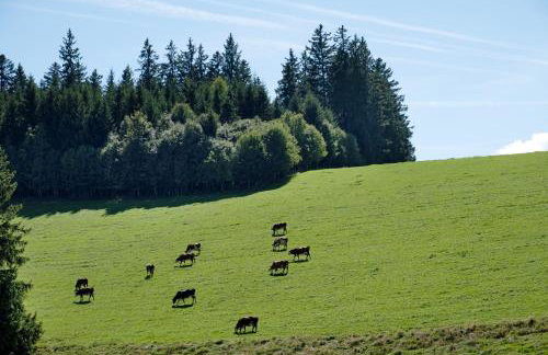 Grundhäusle Gütenbach - Foto 33