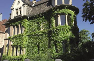 Auster-Appartements - Foto 1