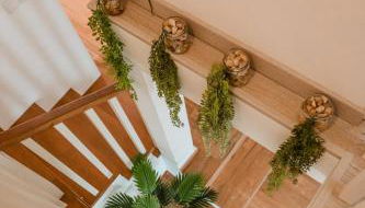 Casa da Teresa - Foto 5