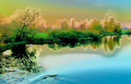 Rhein Romantik riverview - Foto 15