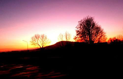 Zum Bothmerschen Krug - Photo 22