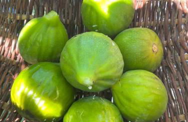 Agriturismo Masseria Cannella - Foto 43