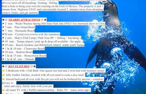 Bonne Nuit Weeki Wachee - Foto 27