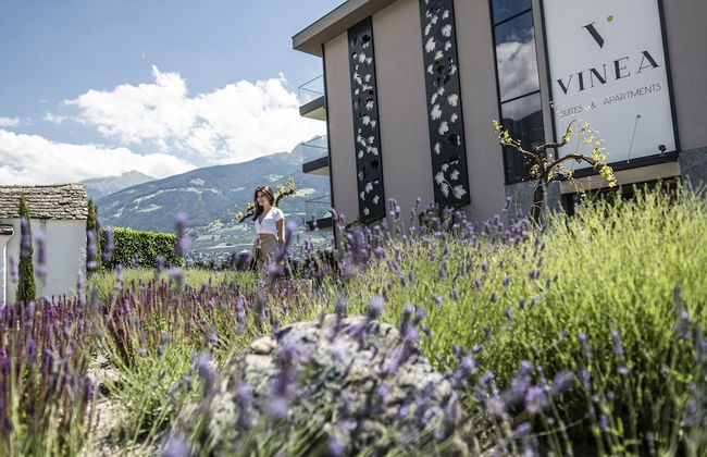 Vinea - Suites & Apartments - Photo 60