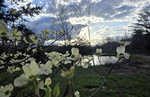 Magical Tree House Rental Nestled in the Woods on Farm Retreat near St. Louis, Missouri - Foto 37