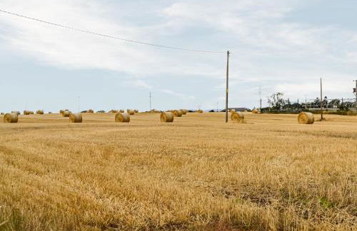 Myreside Cottage - Foto 12