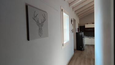 BERTESINA325 Superior Apartment - Foto 3