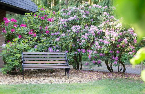 Lüneburger Heide - Ferienwohnung am Höpen - Foto 33